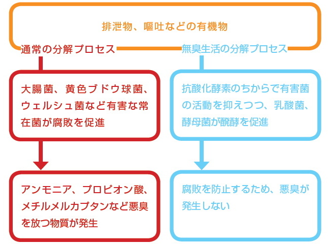 無臭生活の説明