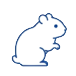 ハムスター