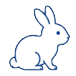うさぎ
